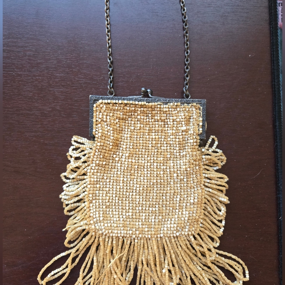 Vintage 1930s Beaded Fringe Bag